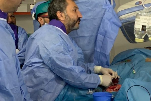 erdoğan ilkay prof.dr